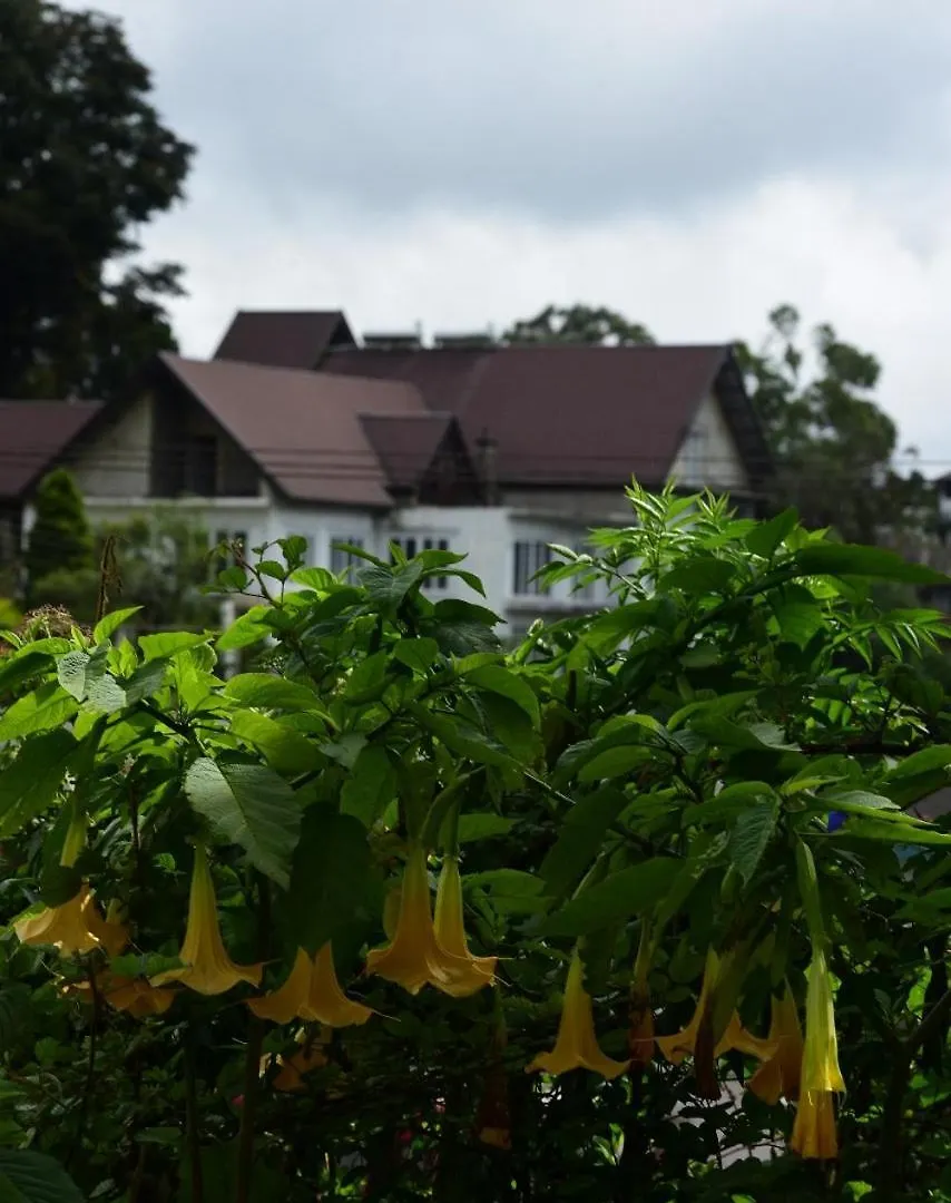 Guest house Havelock Inn Nuwara Eliya Sri Lanka